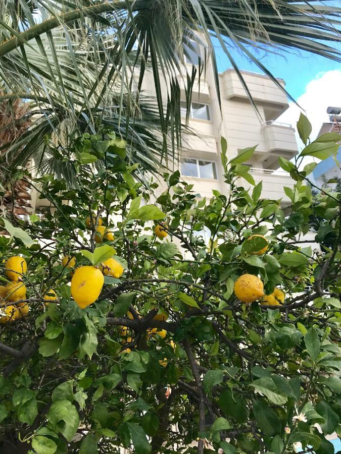 אנאמור Rumana Hotel מראה חיצוני תמונה